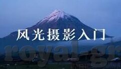 如何破解地一森林舞会-破解地一森林舞会，策略与技巧的全面指南